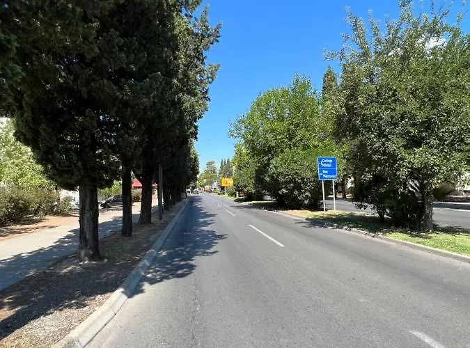 Hills Ii By Rent A Car Mi